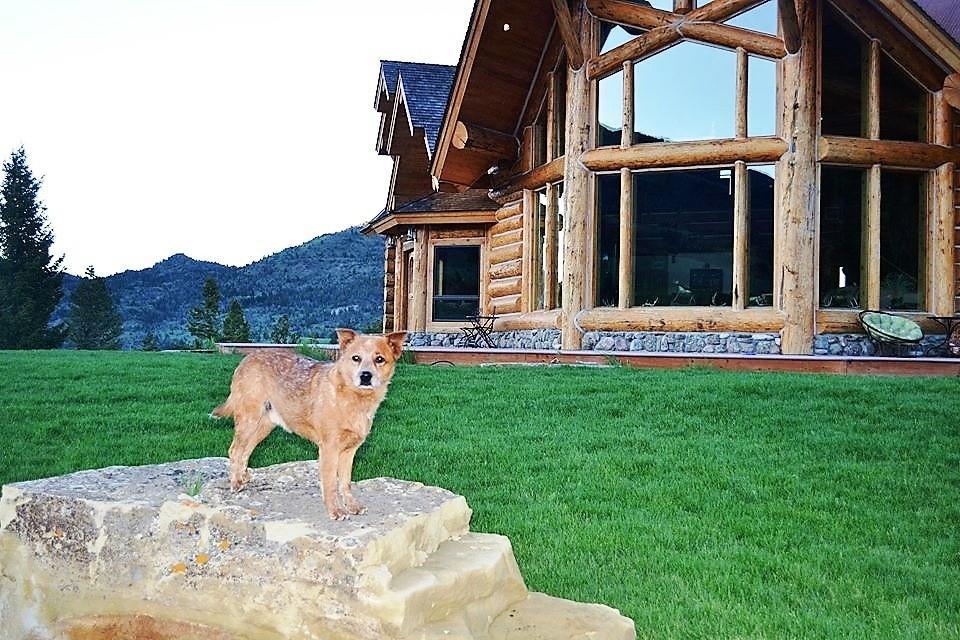 Mcdonald'S Ranch Lodge Gardiner Exterior foto